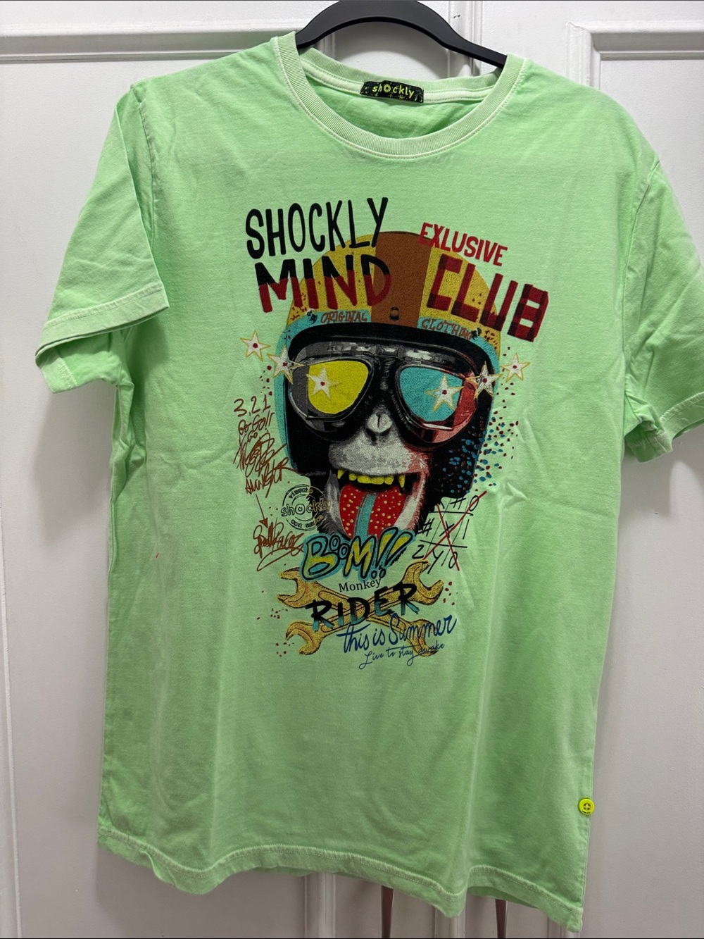 Short-Sleeve Graphic Tee in Light Green